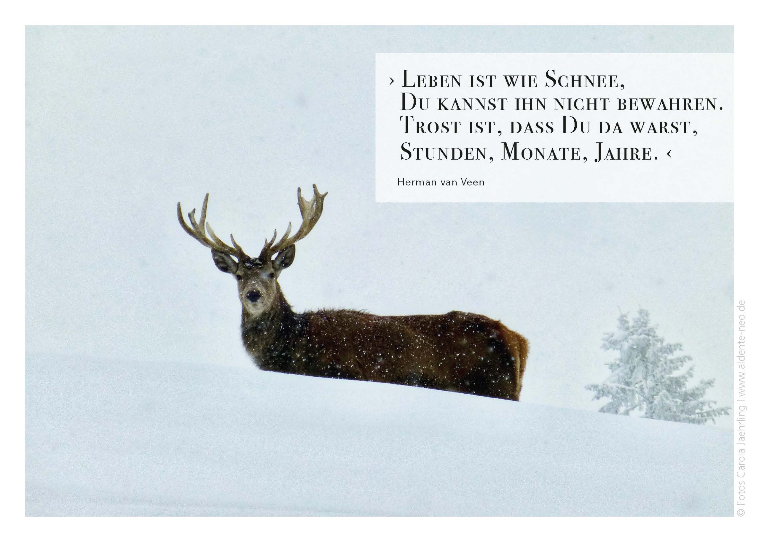 Winter VS-Hospitzkarten-Print-end-5
