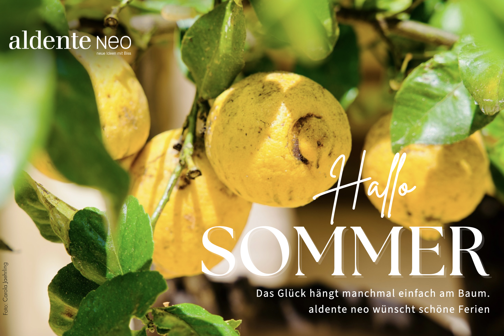 Hallo Sommer